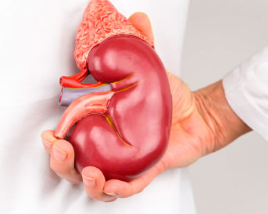 Trasplante renal