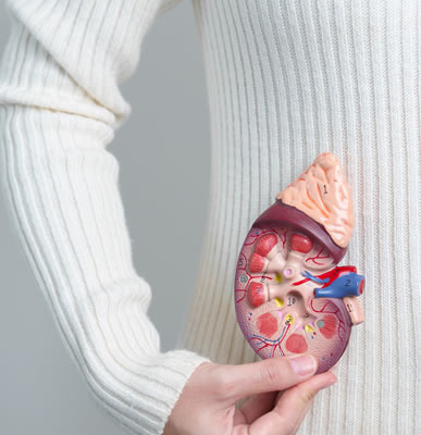 Tratamientos diálisis peritoneal
