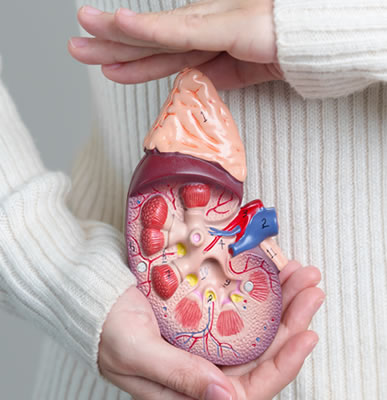 Trasplante renal